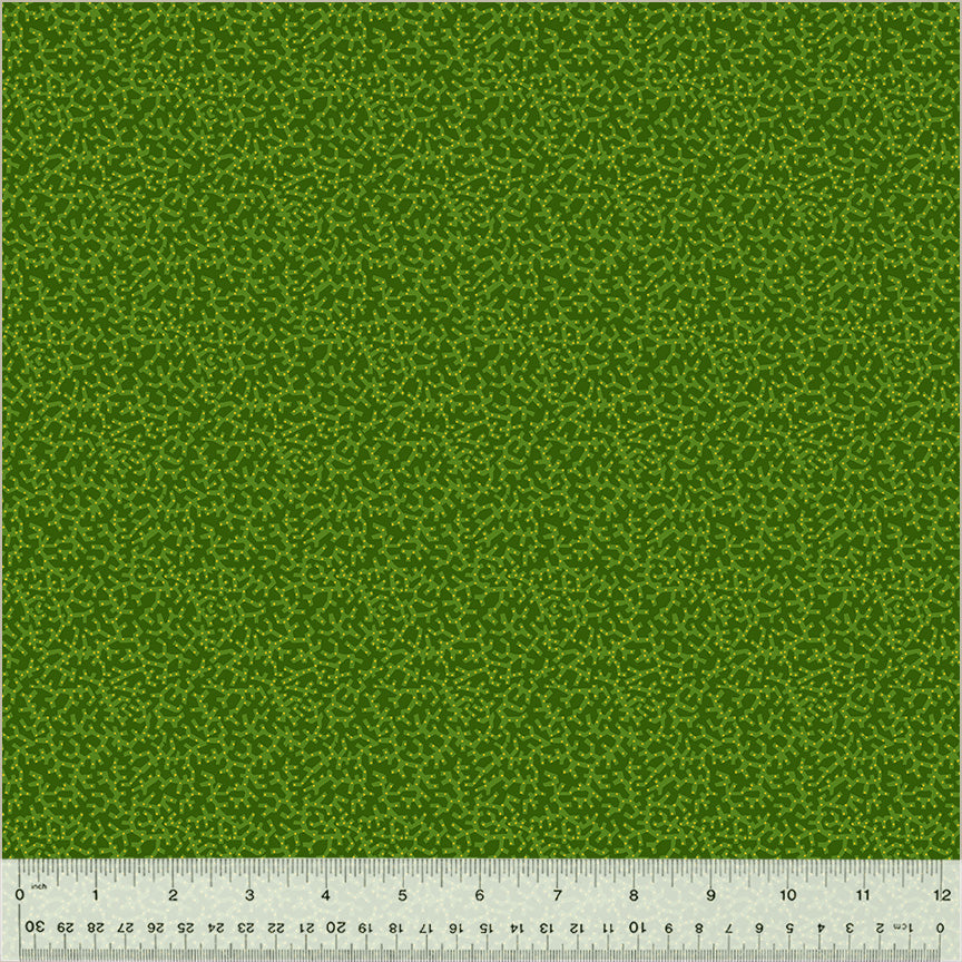 54092-3-1-0155Y000005zY2PQAU.jpg