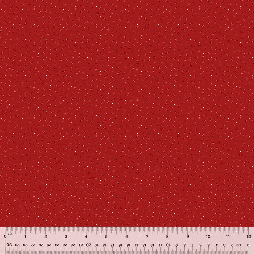 54153-4-1-015Ud000000RKh0IAG.jpg