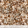 54403D-1-1-015Ud000001W4WBIA0.jpg