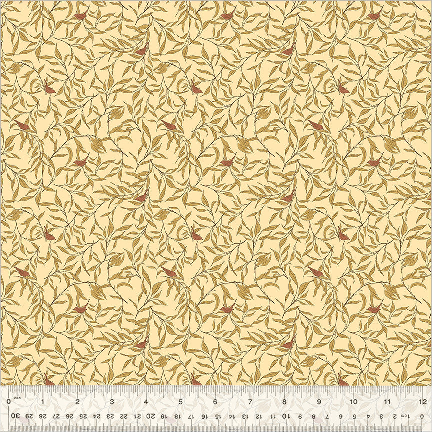 54479-11-1-015Ud000004vJ3eIAE.jpg