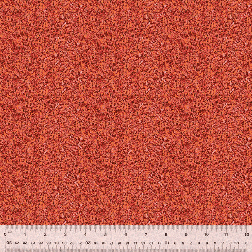 54559-9-1-015Ud000002v6XOIAY.jpg