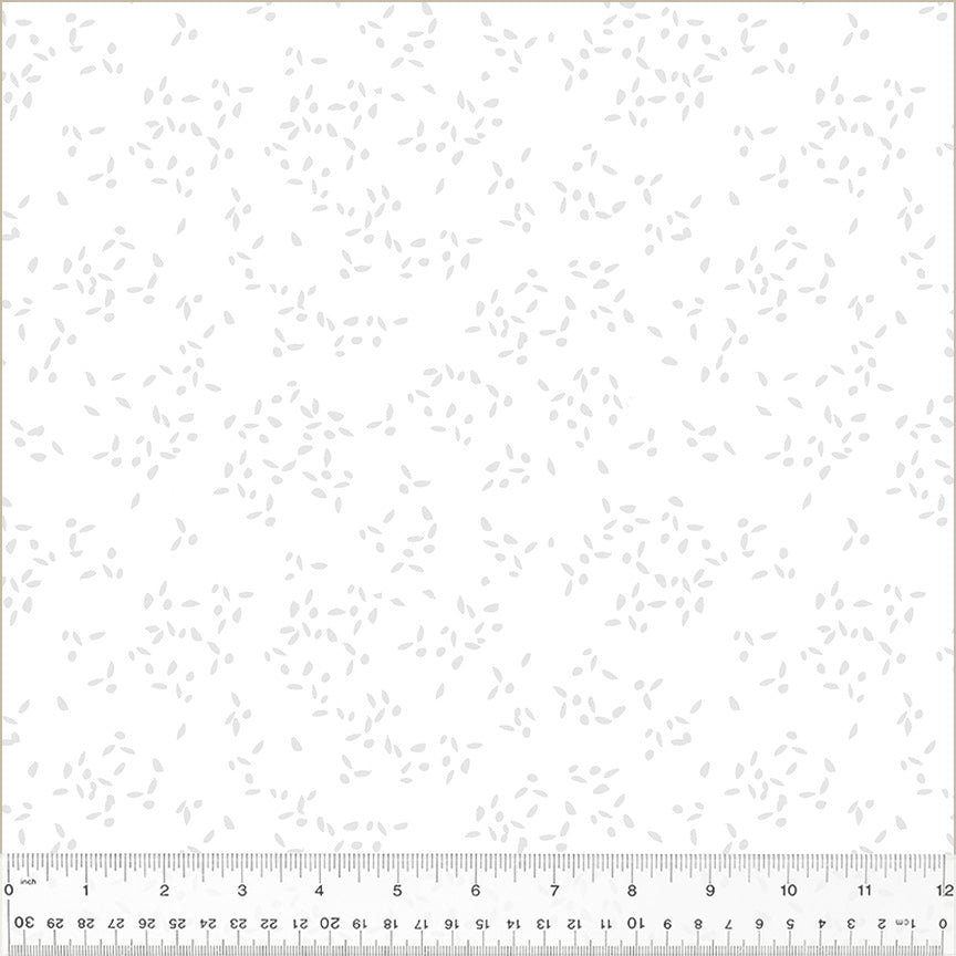 54603-1-1-015Ud000003O2a2IAC.jpg