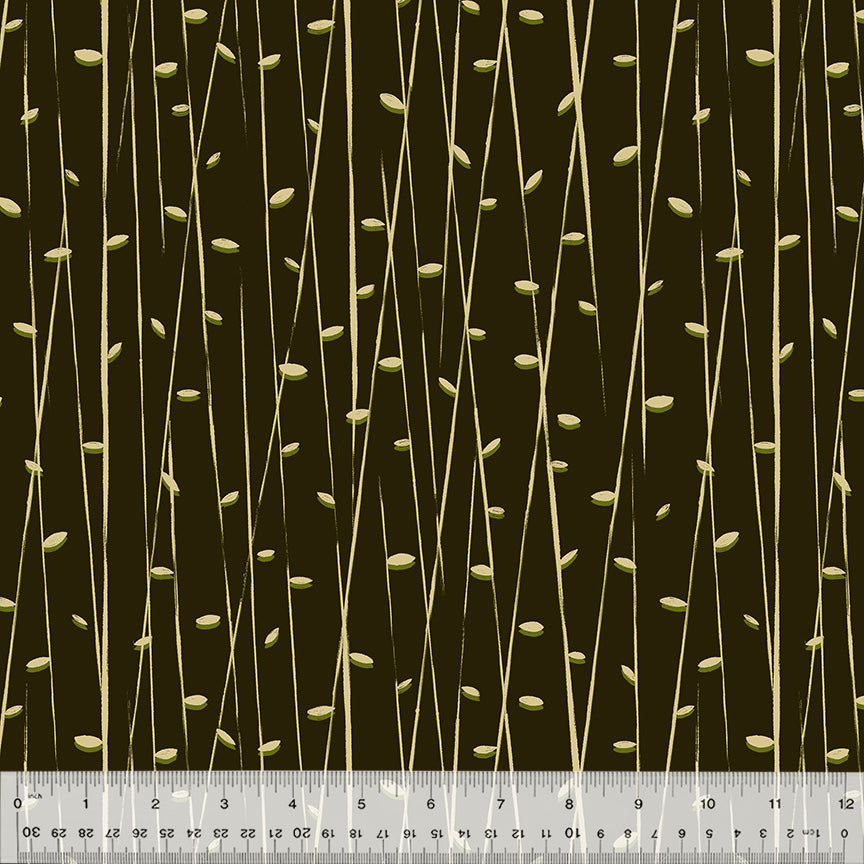 54661-1-1-015Ud000004niQcIAI.jpg