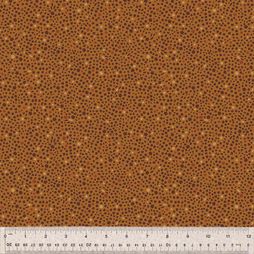 54664-12-1-015Ud000004nijyIAA.jpg
