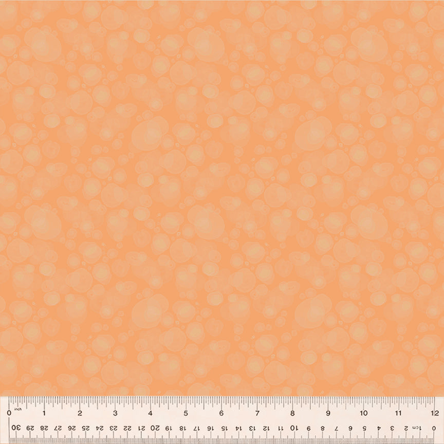 54665-27-1-015Ud000004khkQIAQ.jpg