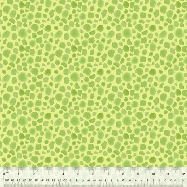 54670F-1-1-015Ud000004pFdqIAE.jpg