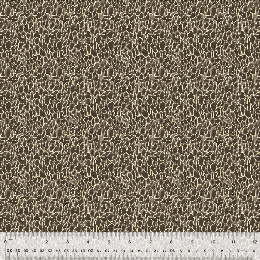 54776D-10-1-015Ud000004p6h0IAA.jpg