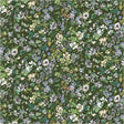 54875D-10-1-015Ud000006sBXjIAM.jpg