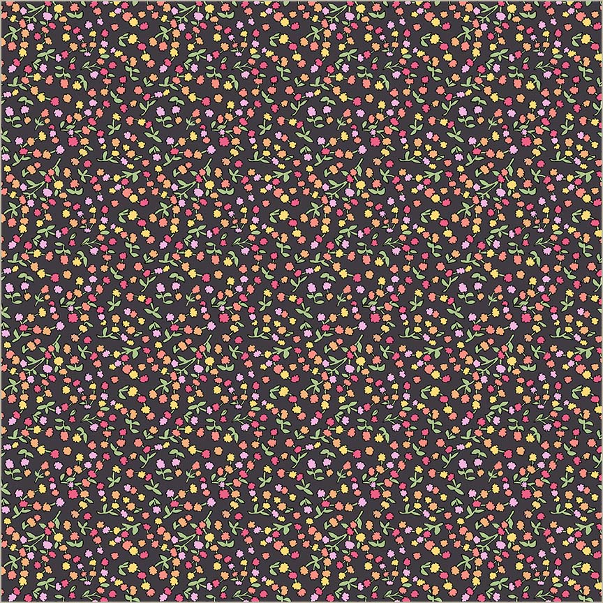 54895-3-1-015Ud000006piraIAA.jpg