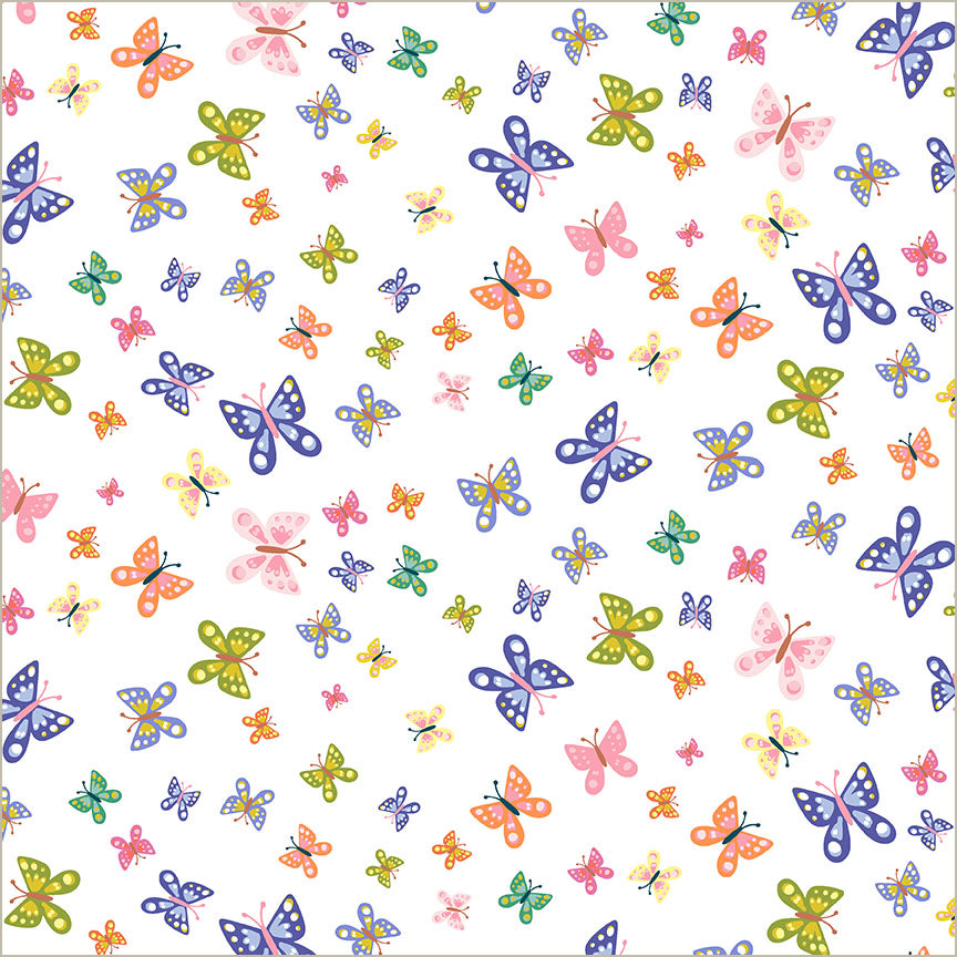 55051-5-1-015Ud000006tnEQIAY.jpg