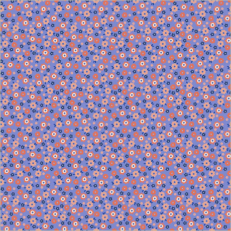 55243-5-1-015Ud00000AtGsoIAF.jpg