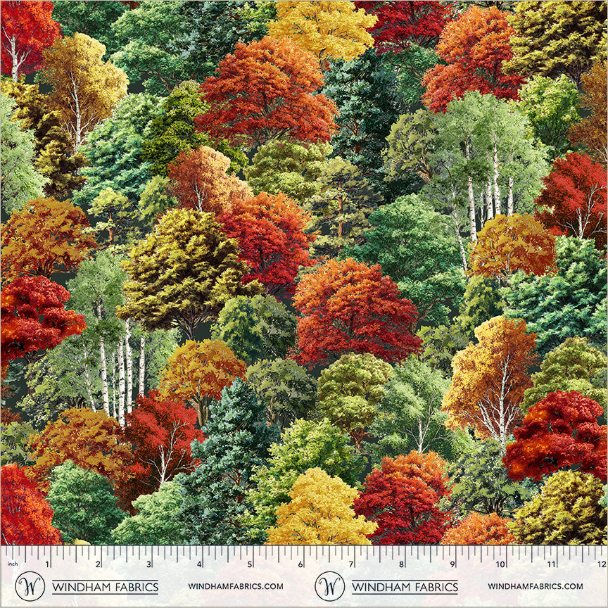 55472D-1-2-015Ud00000DTmMlIAL.jpg