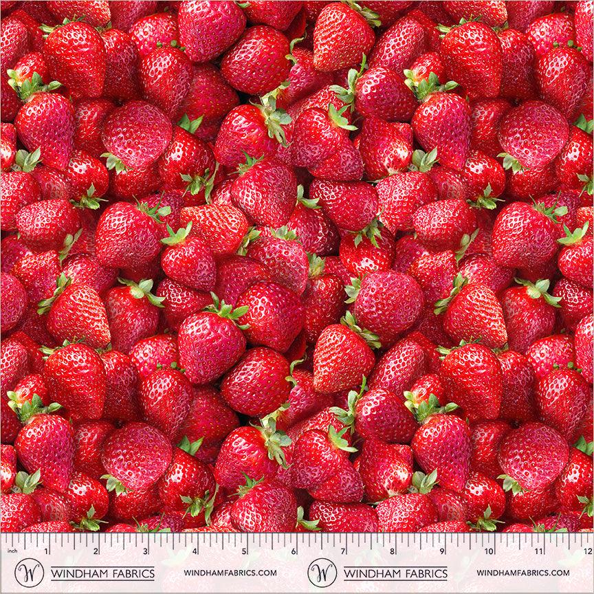 55550D-1-2-015Ud00000GQuOoIAL.jpg