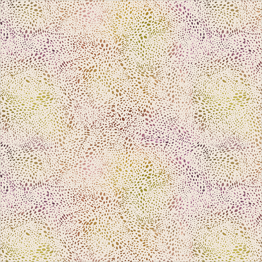 55568D-1-1-015Ud00000GQua2IAD.jpg