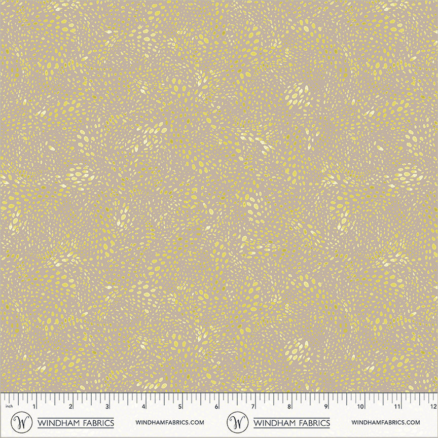 55568D-15-2-015Ud00000GQvXjIAL.jpg