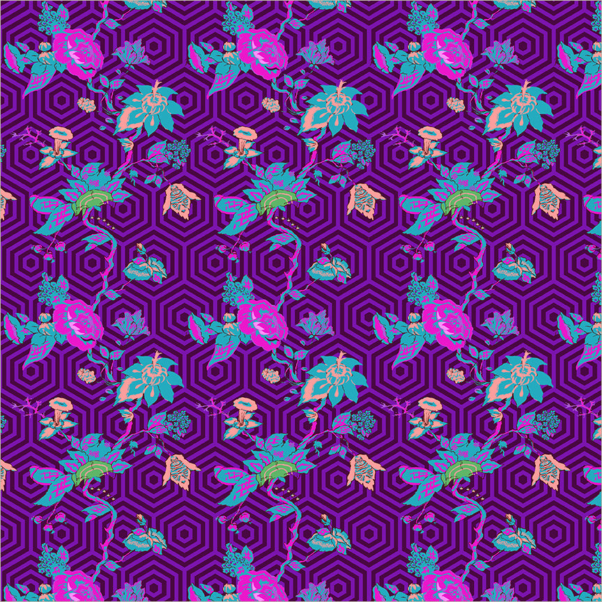 55585-2-1-015Ud00000GQiU2IAL.jpg