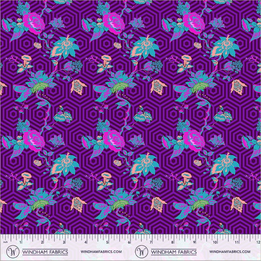 55585-2-2-015Ud00000GQiU3IAL.jpg