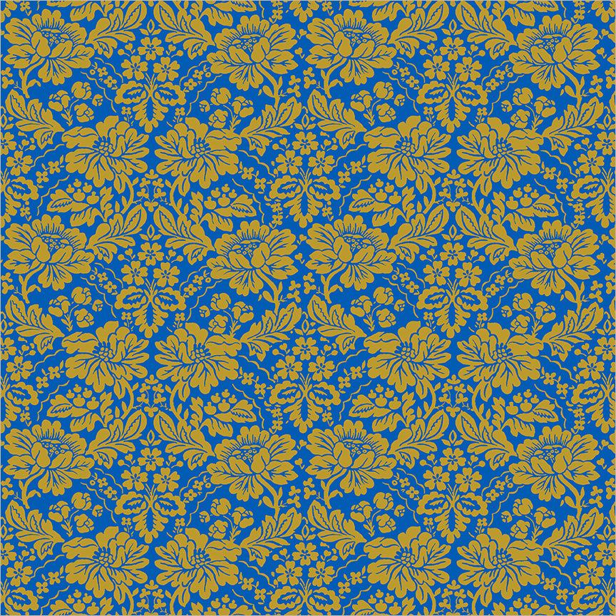 55587-7-1-015Ud00000GQilmIAD.jpg