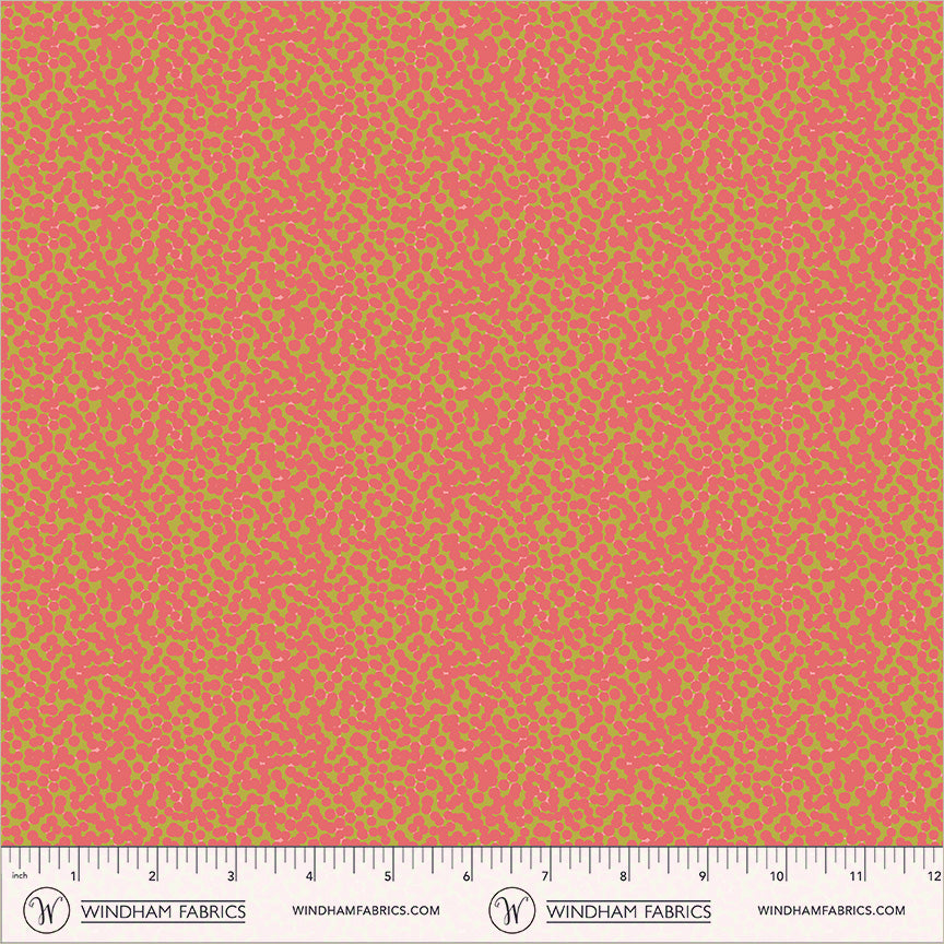 55589-4-2-015Ud00000GQivTIAT.jpg