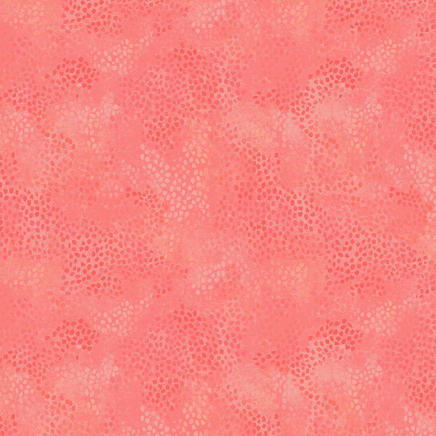 55706-10-1-015Ud00000GPp1KIAT.jpg