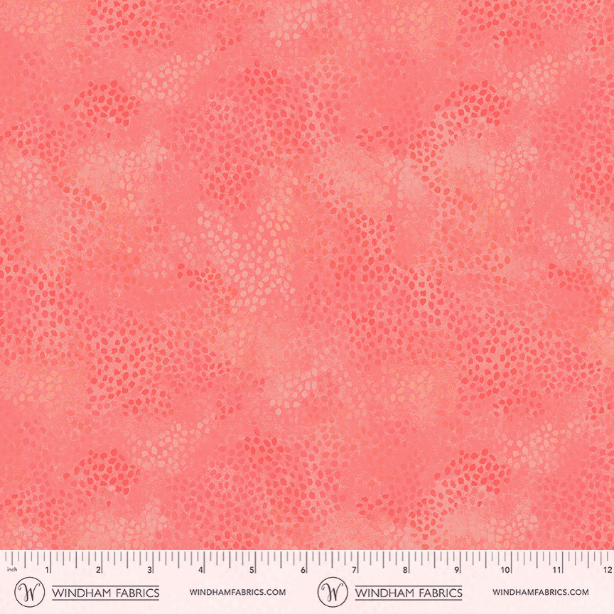 55706-10-2-015Ud00000GPp1LIAT.jpg