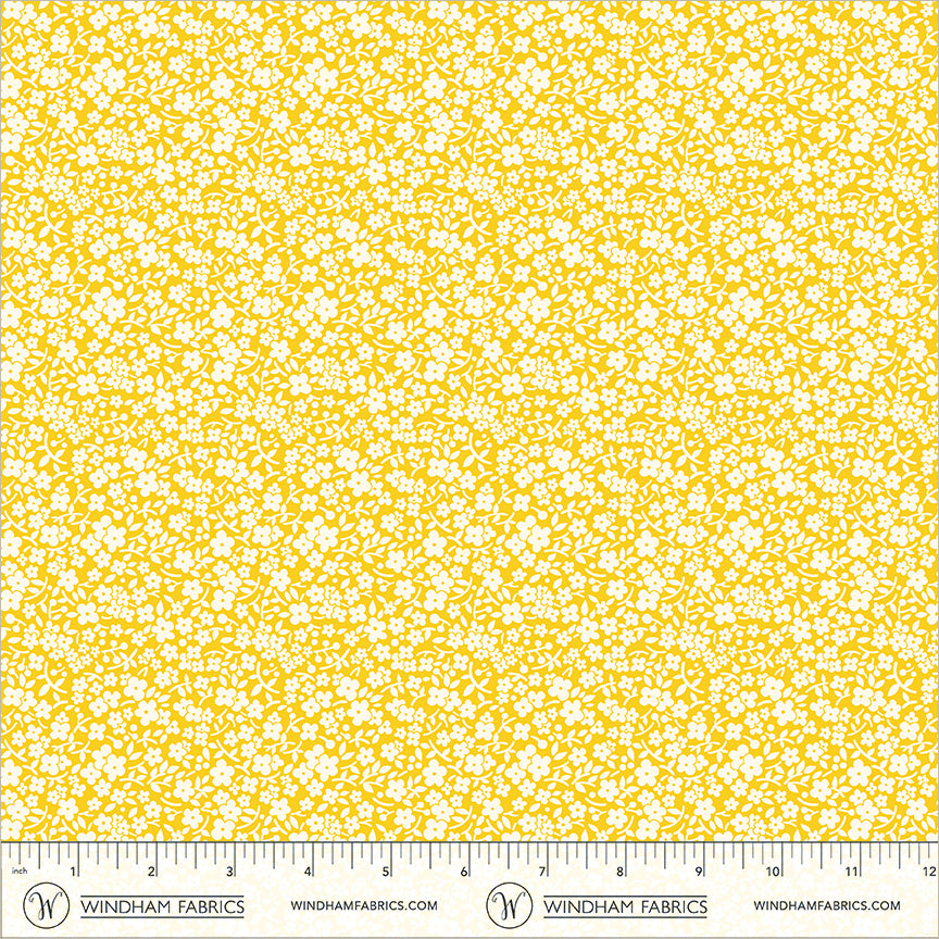 56067-5-2-015Ud00000IO1qFIAT.jpg