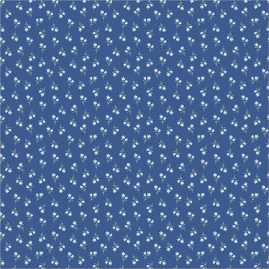 56118-1-1-015Ud00000IMlyoIAD.jpg