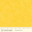 8115Q-6-1-015Ud00000AoxggIAB.jpg