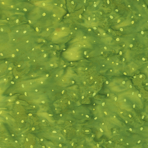 8115Q-9-2-015Ud00000AoyOFIAZ.jpg
