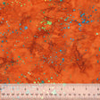 859Q-2-1-0155Y0000067n30QAA.jpg
