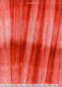 861Q-12-1-015Ud000008EqGiIAK.jpg