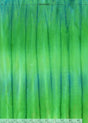861Q-3-1-015Ud000008EzNEIA0.jpg