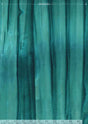 861Q-6-1-015Ud000008F1f8IAC.jpg