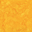 100Q-1407-1-0155Y000005rzstQAA.jpg