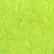 100Q-1424-1-0155Y000005rztcQAA.jpg