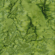 100Q-1426-1-0155Y000005rzzpQAA.jpg
