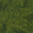 100Q-1427-1-0155Y000005rztrQAA.jpg