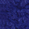 100Q-1579-1-0155Y000005s059QAA.jpg