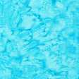 100Q-1585-1-0155Y000005s05dQAA.jpg