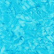 100Q-1586-1-0155Y000005s05sQAA.jpg