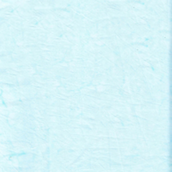 100Q-1603-1-0155Y000004enFqQAI.jpg