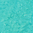 100Q-1606-1-0155Y000004enFgQAI.jpg