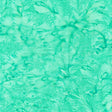 100Q-1613-1-0155Y000004enFCQAY.jpg