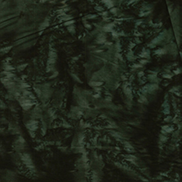 100Q-1619-1-0155Y000004enEiQAI.jpg