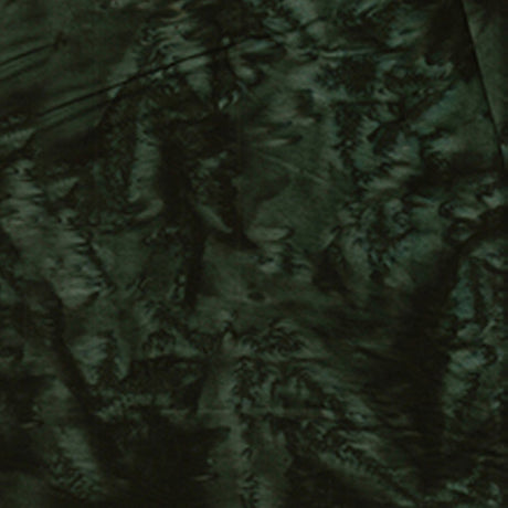 100Q-1619-1-0155Y000004enEiQAI.jpg