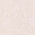 100Q-1646-1-0155Y000004enDBQAY.jpg