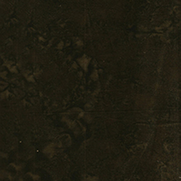 100Q-1651-1-0155Y000004enCmQAI.jpg