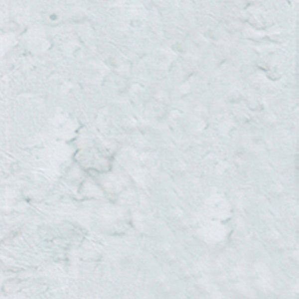 100Q-1667-1-0155Y000004enC3QAI.jpg