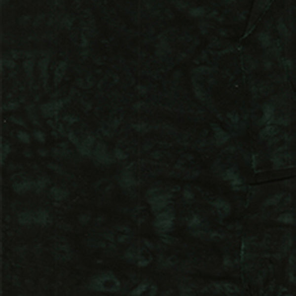 100Q-1676-1-0155Y000004enBeQAI.jpg