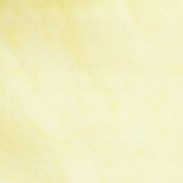 100Q-1710-1-0155Y000004enAMQAY.jpg
